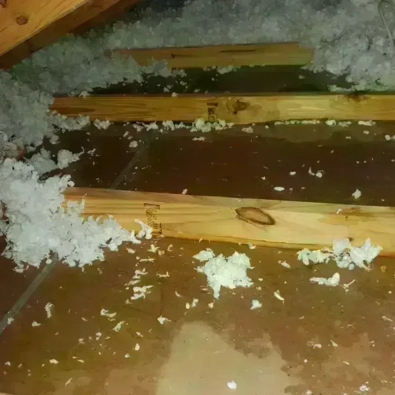 Attic Water Damage in Newaygo County, MI