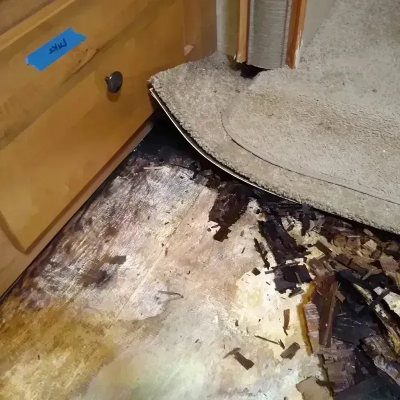 Wood Floor Water Damage in Newaygo County, MI